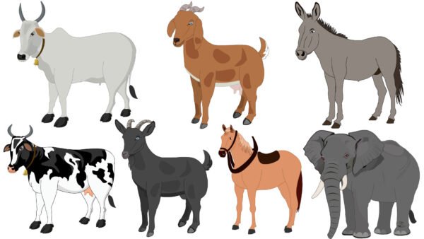 7 Animal Character (Fla files)