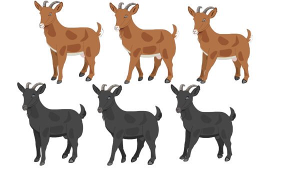 7 Animal Character (Fla files) - Image 4