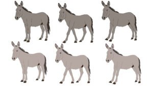 Donkey Character Fla File with Walking and Talking