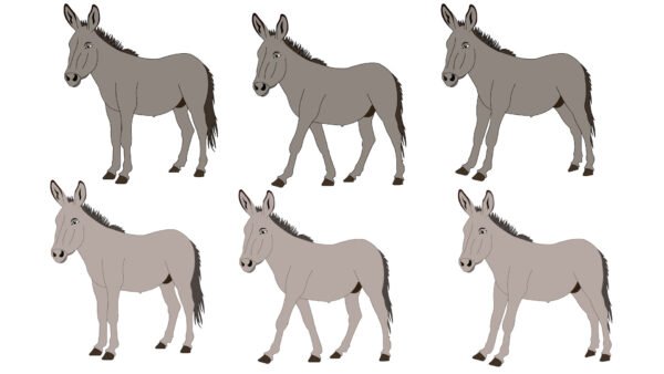 7 Animal Character (Fla files) - Image 2