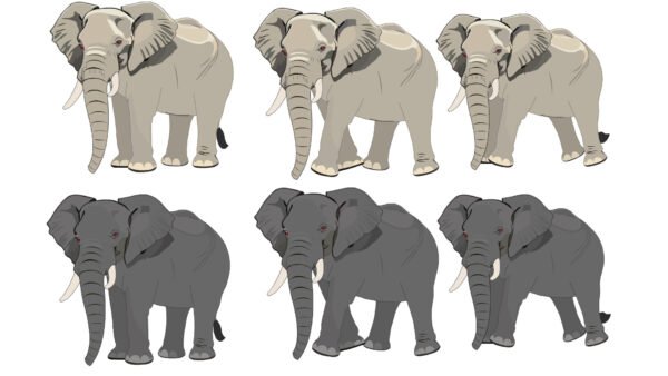7 Animal Character (Fla files) - Image 8