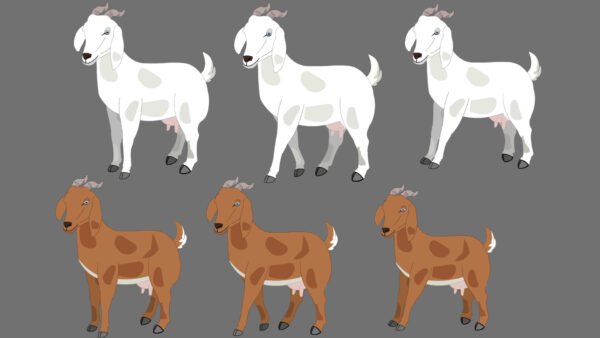 7 Animal Character (Fla files) - Image 5