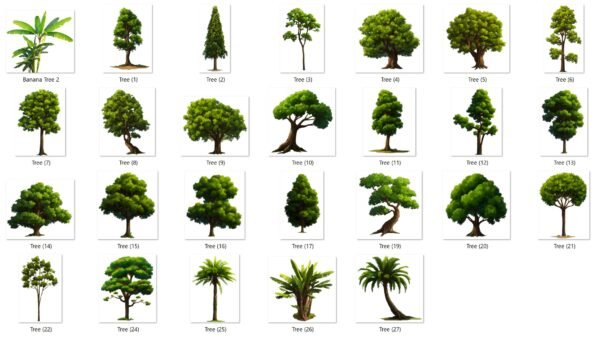Tree Pack in PNG file (Pack of 25)