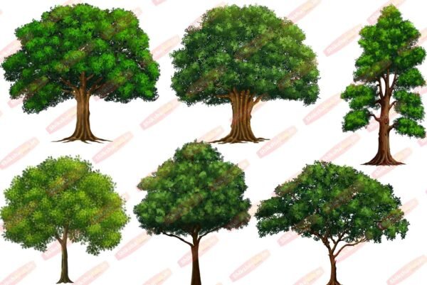 PNG Tree Bundle (Pack of 35) - Image 2