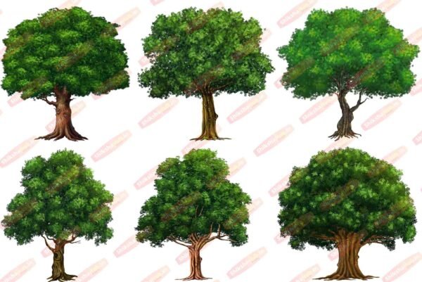 PNG Tree Bundle (Pack of 35) - Image 3