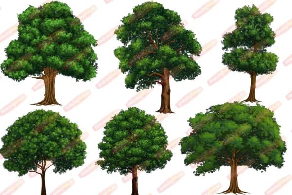 PNG Tree Bundle (Pack of 35) - Image 4