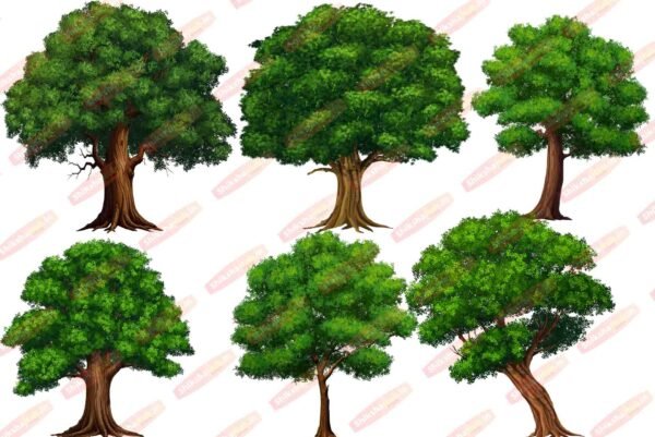PNG Tree Bundle (Pack of 35) - Image 5