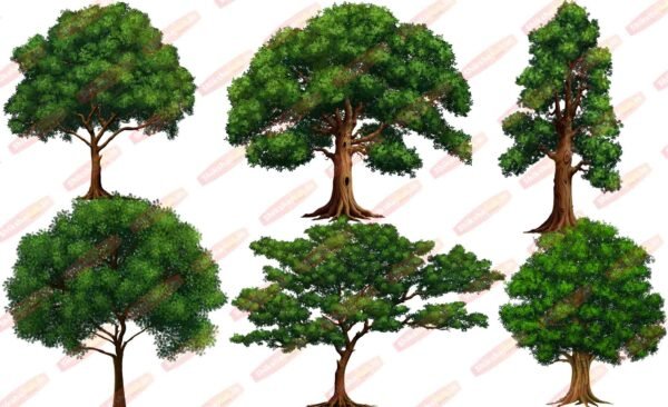 PNG Tree Bundle (Pack of 35) - Image 6